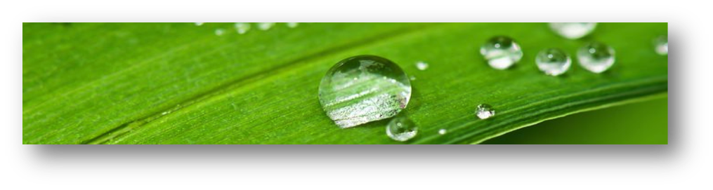 droplets shade droplets shade