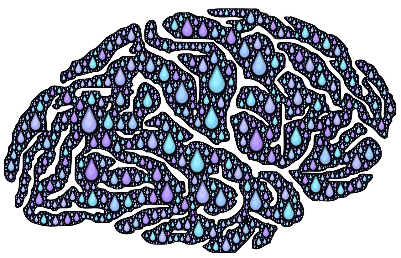 pain brain pain brain